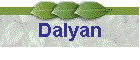 Dalyan