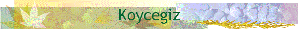 Koycegiz