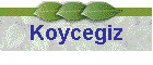 Koycegiz