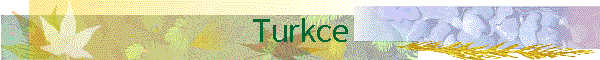 Turkce